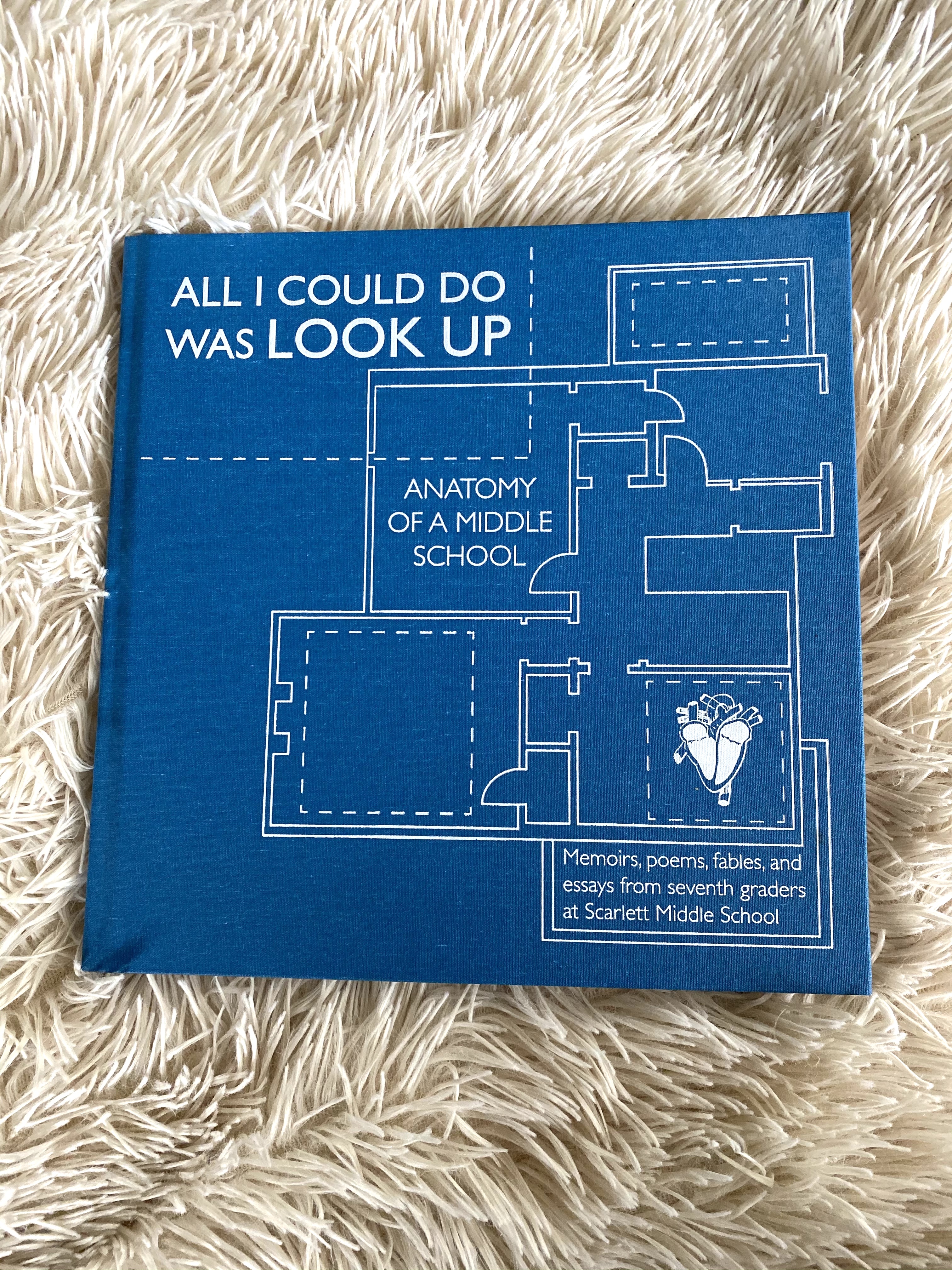 photo of blue book cover entitled All I could Do was Look Up