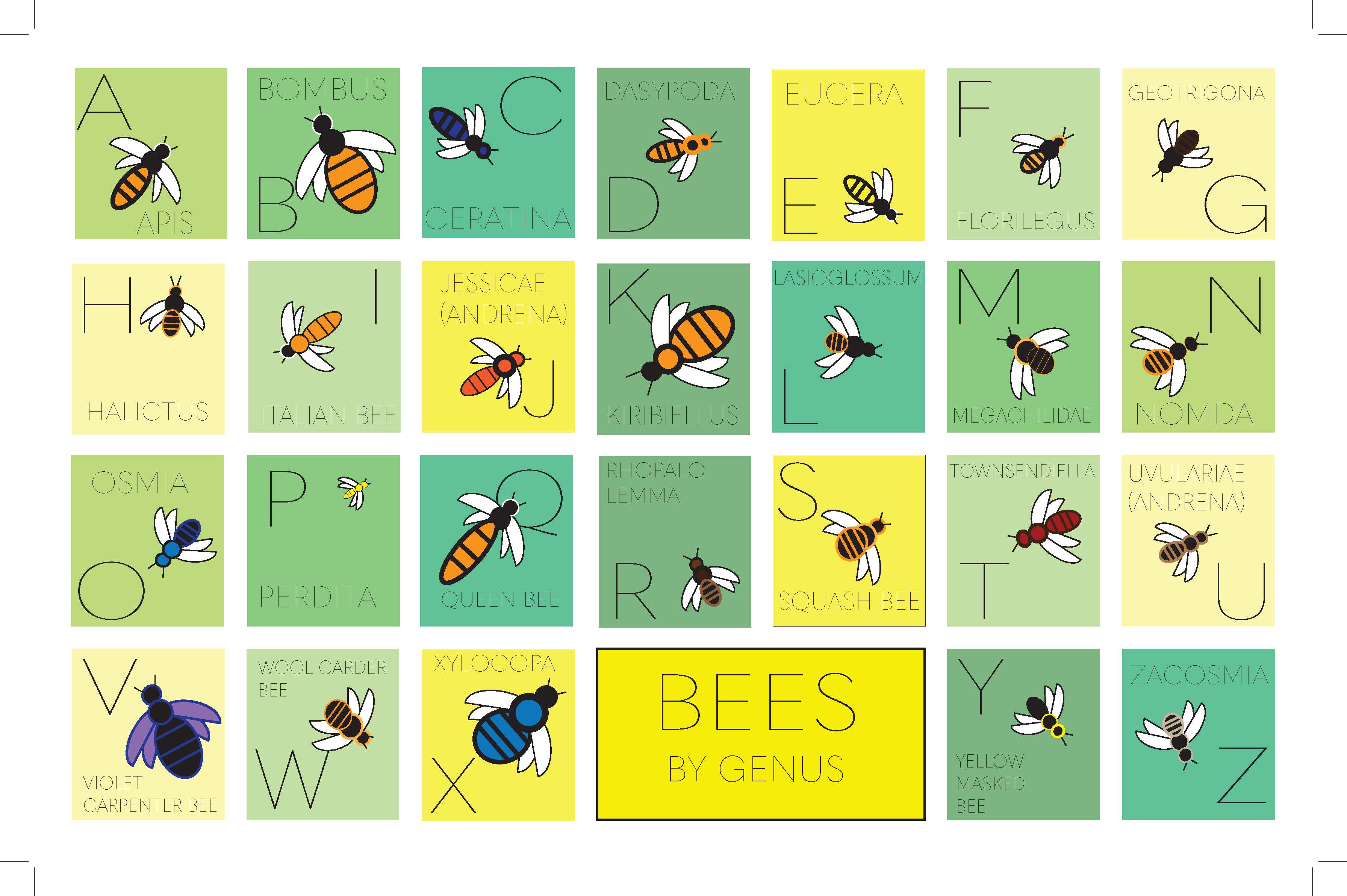 a to z graphic of different bees by genus